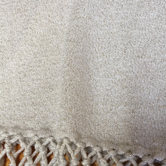 WHBM Sparkly Metallic Fringe Sweater - Picture 5 of 5